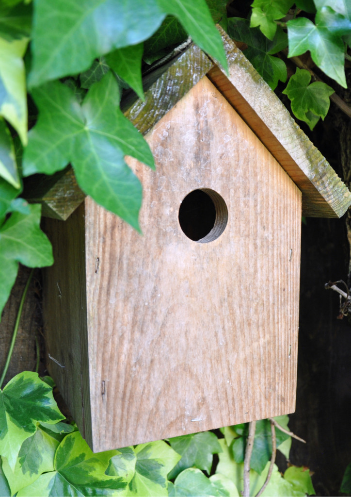 Image d'un nichoir à oiseaux en bois.