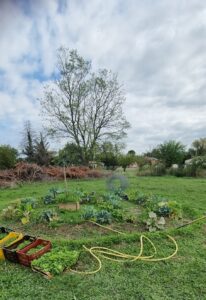 Photo du jardin pédagogique de Livron-sur-Drôme.