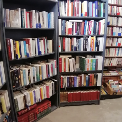 Photo du rayon culture avec un focus sur les livres bien rangés et en vente à l'Astucerie, ressourcerie livronnaise.
